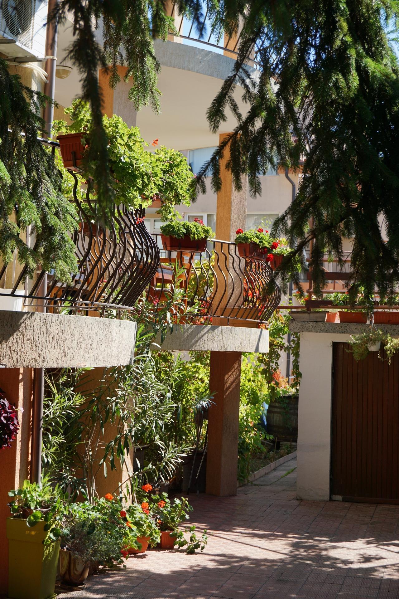 Kalina Guest Rooms Sozopol Ngoại thất bức ảnh
