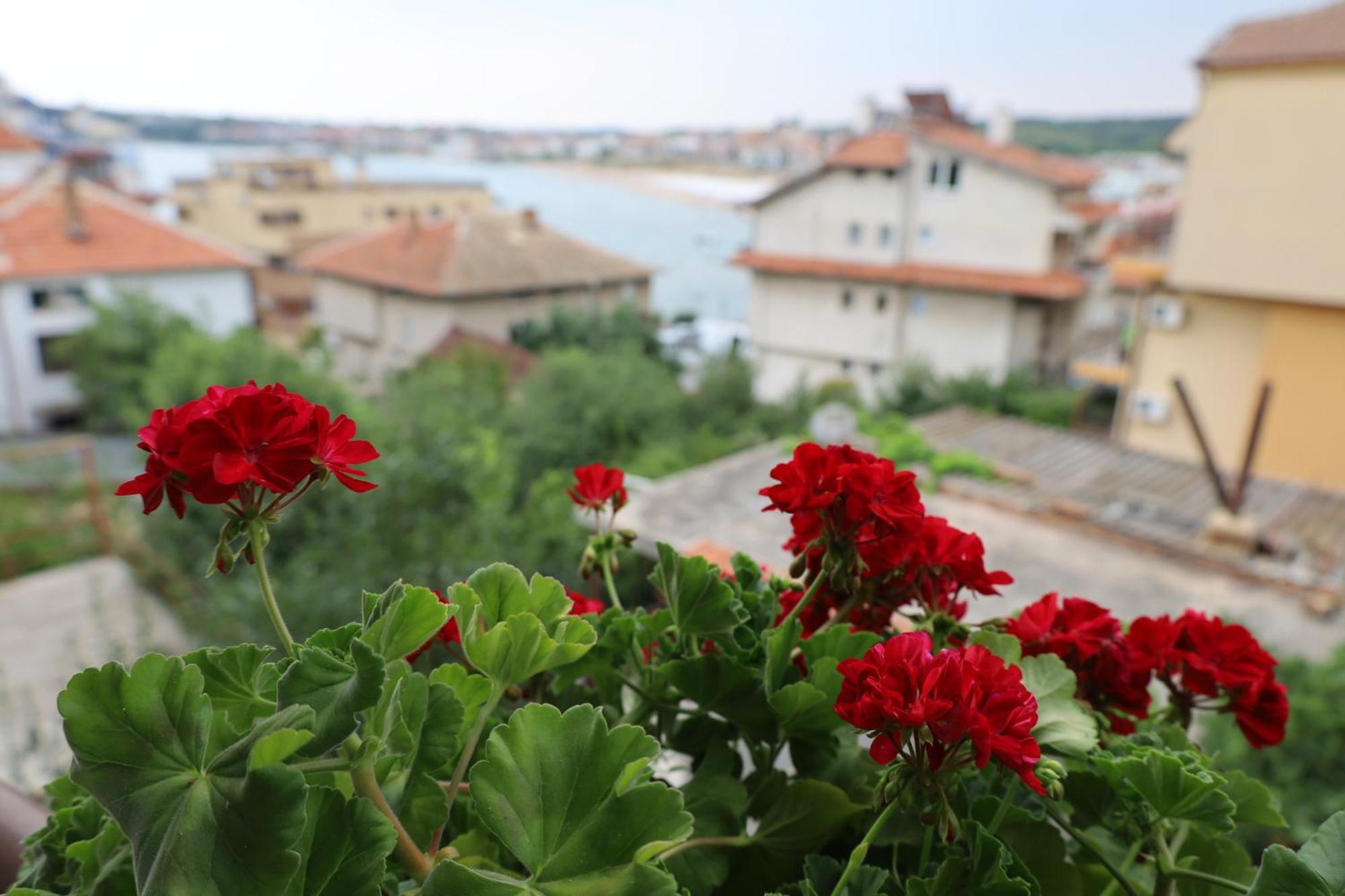 Kalina Guest Rooms Sozopol Ngoại thất bức ảnh